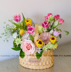 Spring Harmony Blooms